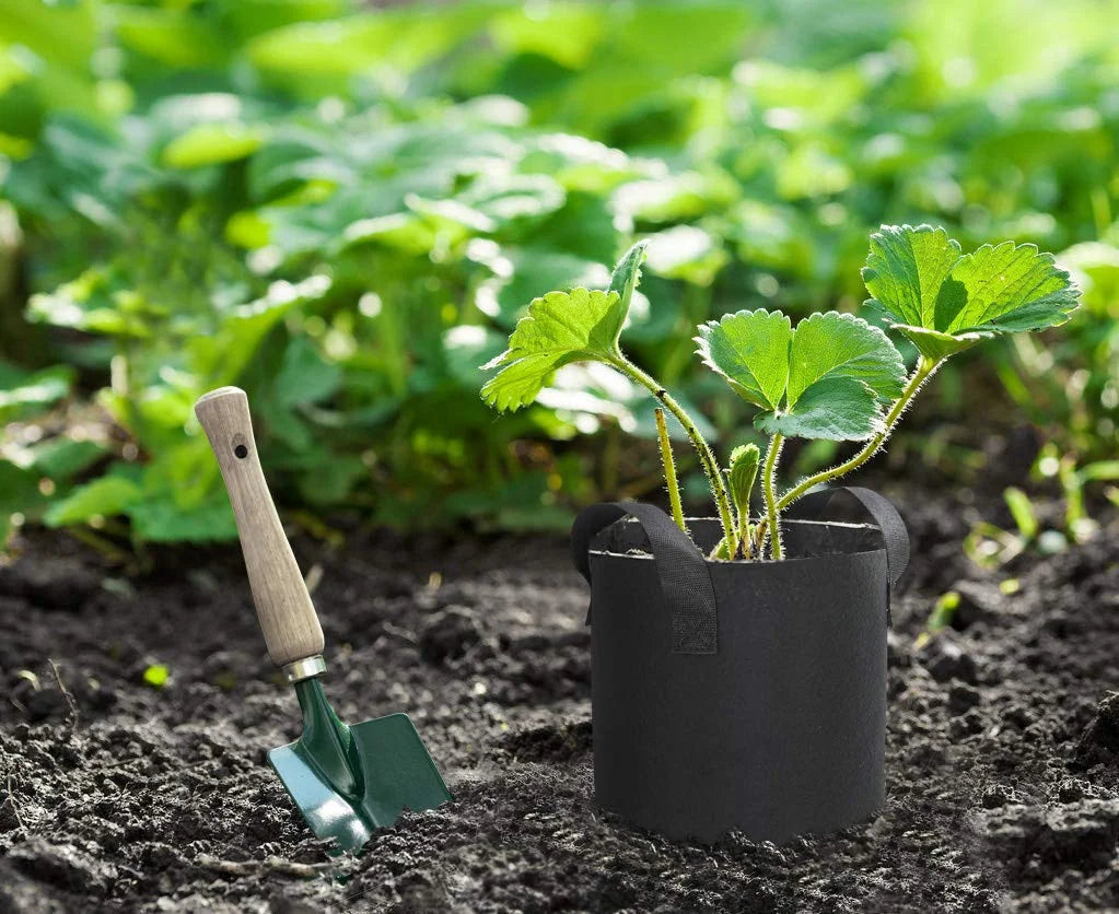 6Pack 5 Gallon Grow Bags Garden Heavy Duty Non-Woven Aeration Plant Fabric Pot Vegetables Container (Black)